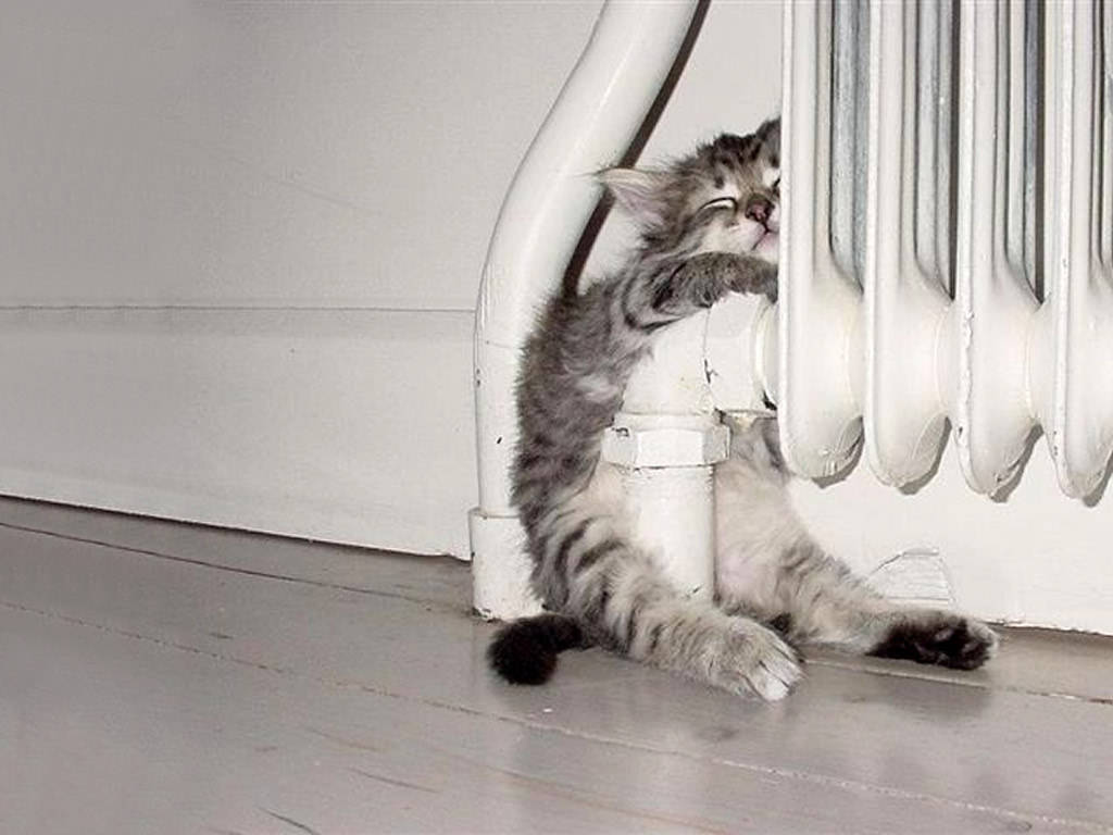 One of our radiators is missing…